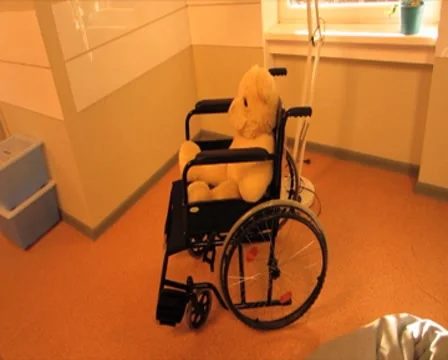 Wheelchair bear Stock Footage 8662720