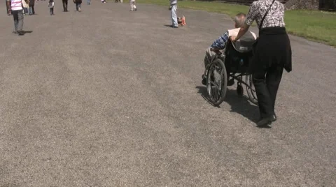 Wheelchair Video stock 6776629