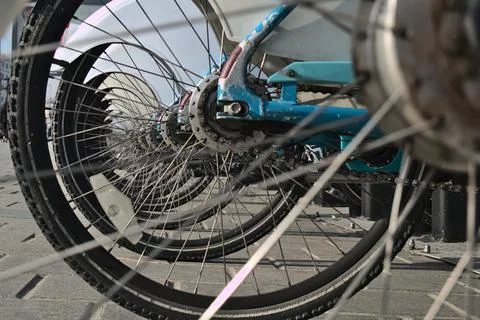 Wheels of bicycles. Stock Photos