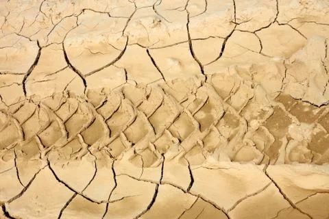 Wheels traces on dried soil Stock Photos