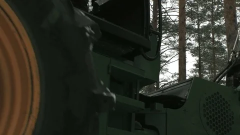 Wheels of a tractor in a forest cutting tree on pieces Stock Footage 69966717
