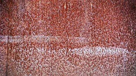 Wheezy Gate Peculiar Rust Stock Photos
