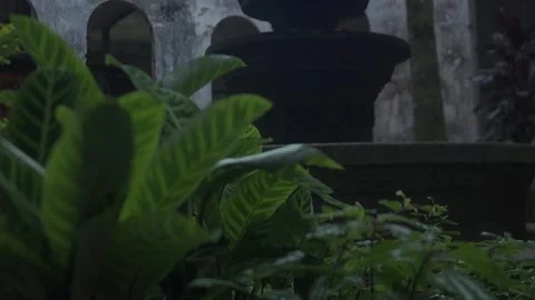 When In Baguio 스톡 동영상 243095824