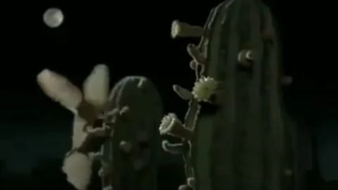 When the bat is looking for food Stock Footage 202197935