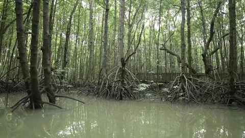 When the boat will dock at a pier along the river Stock Footage 255869424