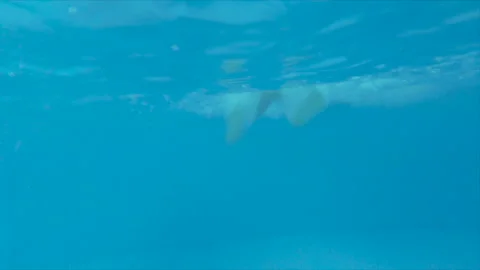 When a child learns to swim in deep pool, they gain confidence. Swimming lessons Stock Footage 140546323