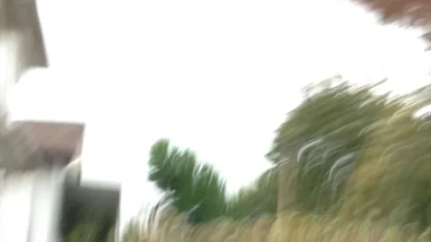 When Crows Attack - 01 Jan 1970 Stock Footage 205365286