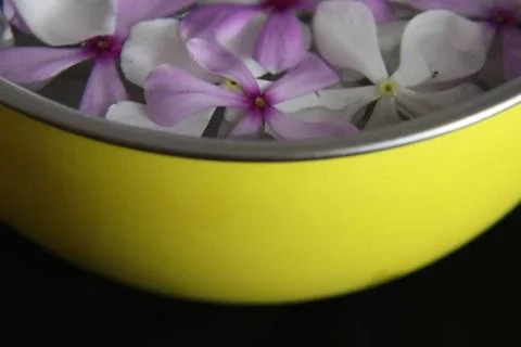 When in doubt add flowers Stock Photos