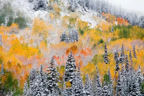 When fall and winter collide. Silver Lake, UT. Photos