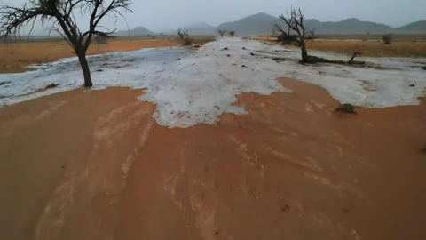 When it rains in the dry desert, water starts flowing across the sand Video stock 336653547