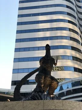 When in Japan Stock Photos