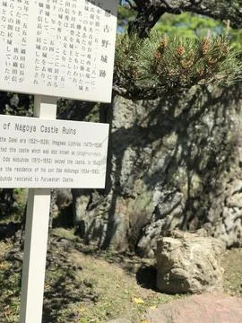 When in Japan Foto stock