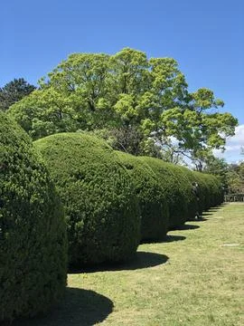 When in Japan Foto stock