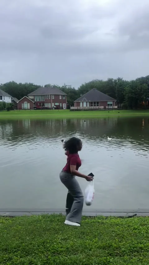 When Nature Attacks, Houston, Texas, USA - 23 May 2021 Stock Footage 313402217