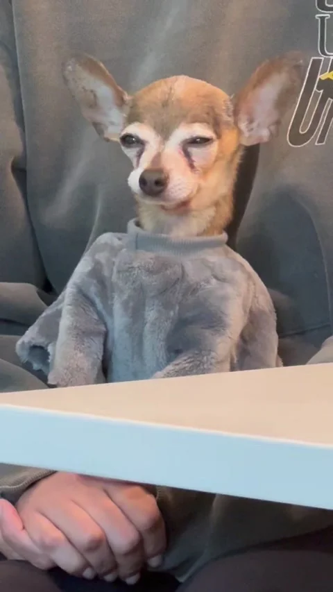 When the Party Was Supposed to Be Over Three Hours Ago, Chicago, Illinois, USA - Stock Footage 315129338