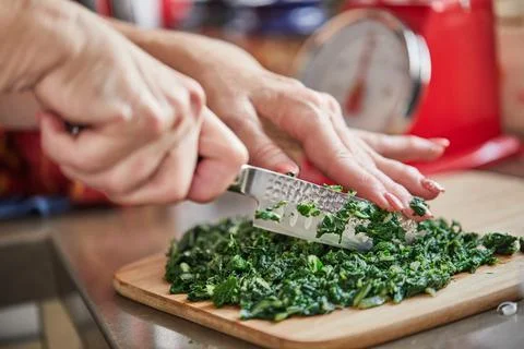 When preparing Swiss chard using recipe from the Internet, the chef cuts the  Stock Photos