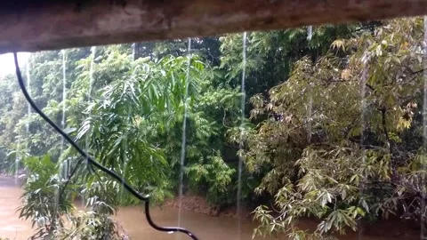 When the rain comes Stock Footage 243345077