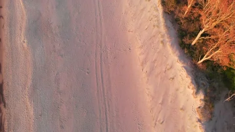 When the sand meets the forest, Baltic Sea drone video 스톡 동영상 130224424