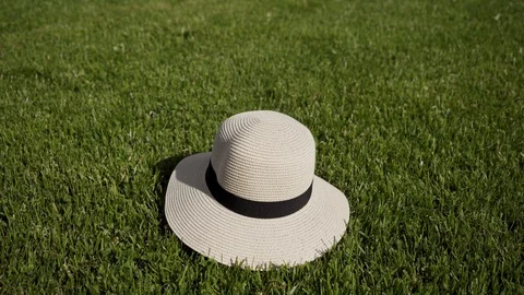 When straw hat lying on lawn is removed, strawberry, banana in sunglasses appear 库存影片 127785533