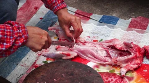 When the street slaughter rabbits Stock Footage 47429259