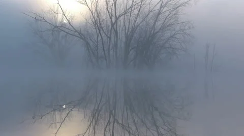 When the sun in the lagoon Stock Footage 45653398