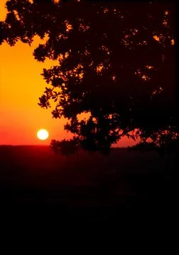 When The Sun Paints Stock Photos