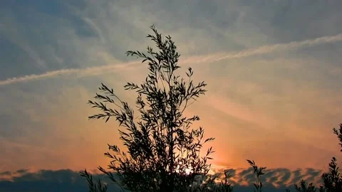 When the sun starts to set Stock Footage 218227031