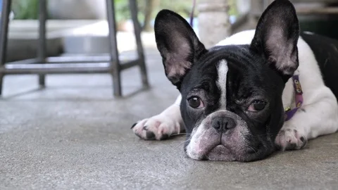 When will you come home. Stock Footage 104069509