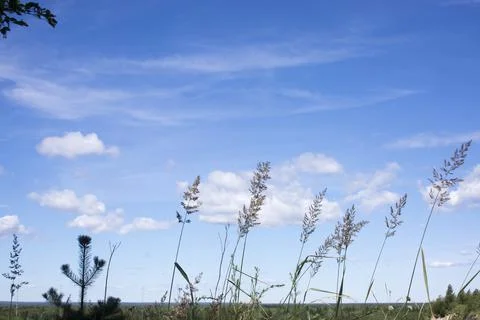 When the wind blows nature sky background Stock Photos