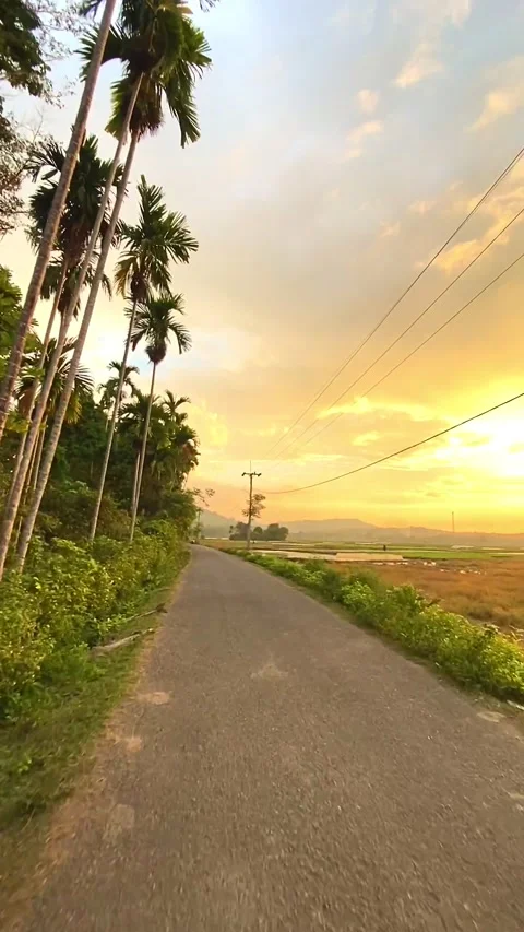 When you go home and meet a scene like this Stock Footage 206706695