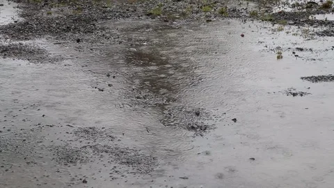 "When You See Rain Think Of Us," in Rain Stock Footage 86757865