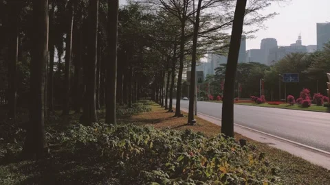 Whenever at work, there is traffic on Shenzhen’s roads 库存影片 148507609