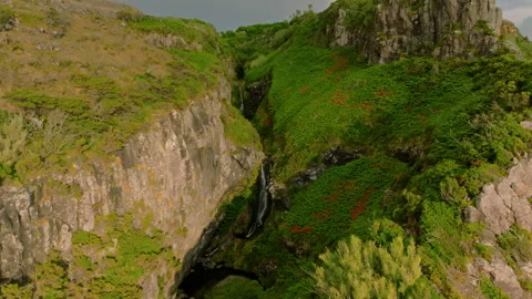Where Earth Meets Infinity: A Verdant Ravine Carving Through Ancient Volcanic Vidéo 336262989