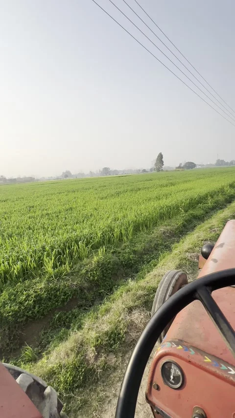 Where the earth meets the wheels of progress. Stock Footage 277978316