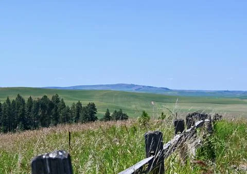 Where Fence Posts Stand Guard: Rolling Green Horizons Stock Photos