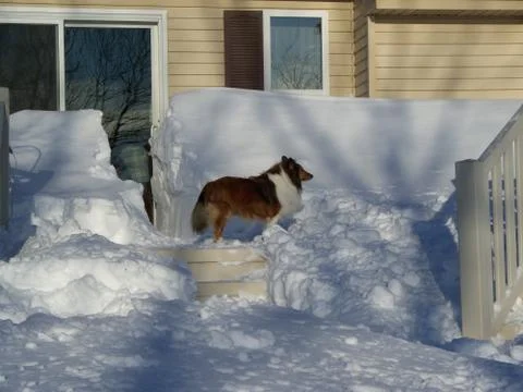 Where to go? 库存照片