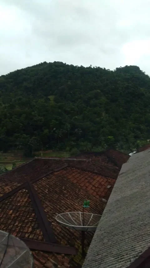 Where i live after i was born Stock Footage 218358559