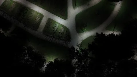 Where illuminated pathways and trees form abstract patterns Stock Footage 314521689