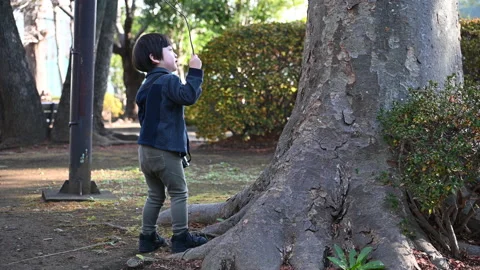Where a little boy is fighting a tree mov Stock-Footage 167619107