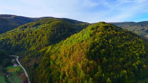 Where Mountains Meet the Forest Stock Footage 307263337