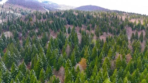 Where Mountains Touch the Sky Stock Footage 312479589