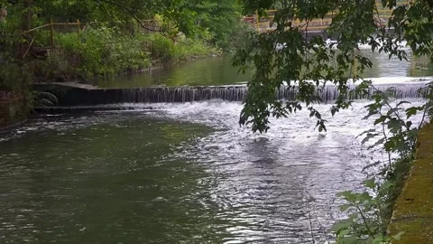 Where the River Flows: Stunning Views of Moving Water Stock Footage 313565188