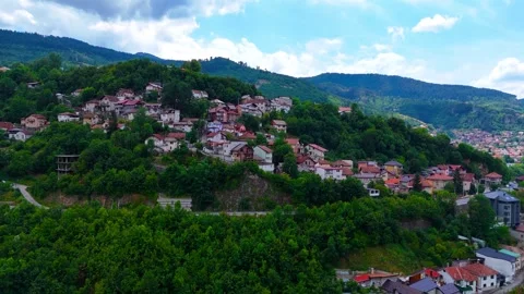 Where Rooftops Whisper to Trees Stock Footage 313439726