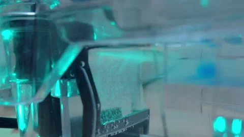 Where there is a buffer and a gel with DNA plasmid Stock Footage 204064612