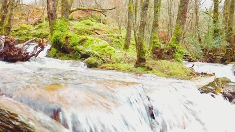 Where two rivers flow. Stockbeeldmateriaal 258591526