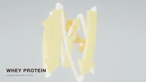 Whey protein beta lactoglobulin structure rotating molecular loop Stock Footage 343822390