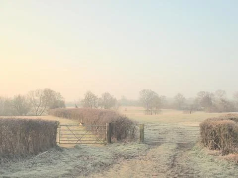 Which Gate This Morning Stock Photos