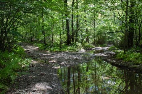 Which Way Stock Photos