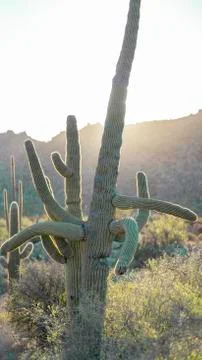 Which Way 스톡 사진