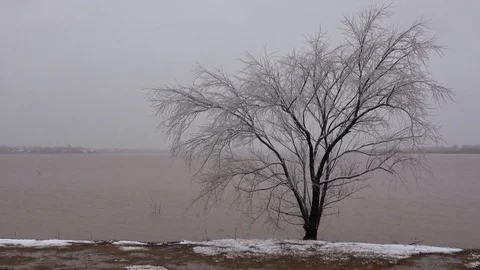 Whichita Lake at winter time. Stock Footage 100941112
